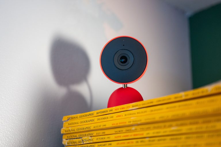 Gemini in Google Home Keeps Mistaking My Dog for a Cat